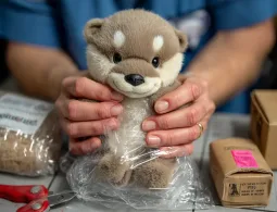 wz001
